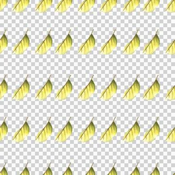 Seamless pattern of tea or fruit tree leaves, hand drawn watercolor on white 스톡 일러스트