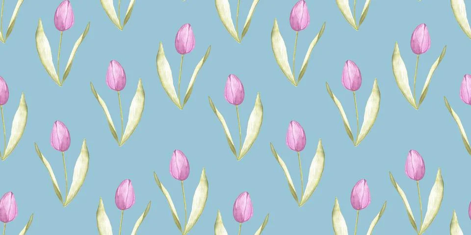 Seamless pattern of tender pink tulips on blue background, hand drawn Stock Illustration