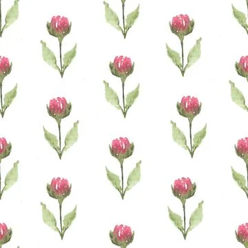 Seamless pattern of tender pink watercolor flower, hand drawn on white Stock Illustration