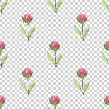 Seamless pattern of tender pink watercolor flower hand drawn on white background Stock-Illustration