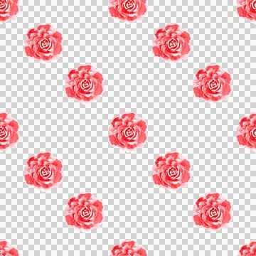 Seamless pattern of tender roses with green leaves, hand painted watercolor Stock Illustration