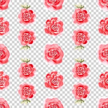 Seamless pattern of tender roses with green leaves, hand painted watercolor Stock Illustration