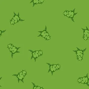 Seamless pattern terpenes weed bud cartoon vector Stock Illustration
