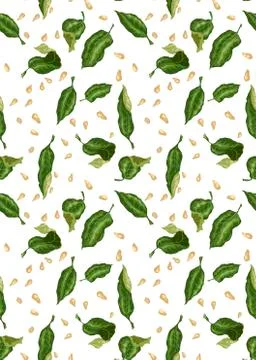 Seamless pattern for textile and print with citrus leaves and seeds in vector Stock Illustration