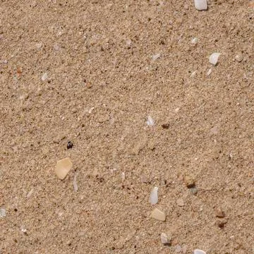 Seamless pattern texture of beautiful yellow sand with white pebbles and shel Stock Photos