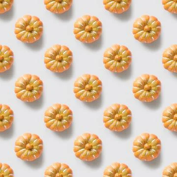 Seamless pattern of Thanksgiving day or Halloween pumpkin on gray background. Stock Photos