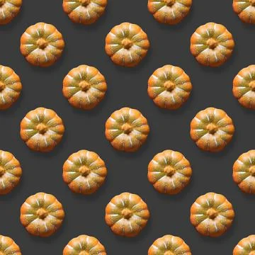 Seamless pattern of Thanksgiving day or Halloween pumpkin on black background Stock Photos