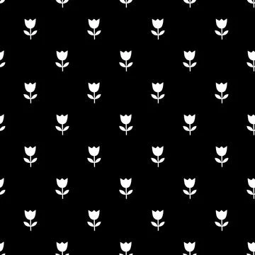 Seamless pattern of their white tulips on a black background. Stock Illustration