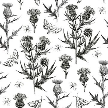 Seamless pattern with thistle flowers and buds. Ink hand-drawn detailed Stock Illustration