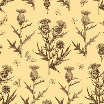 Seamless pattern with thistle flowers and buds. Ink hand-drawn detailed Stock Illustration