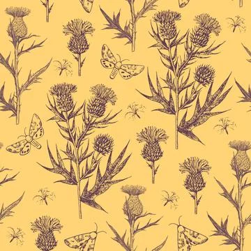 Seamless pattern with thistle flowers and buds. Ink hand-drawn detailed Stock Illustration