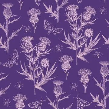 Seamless pattern with thistle flowers and buds. Ink hand-drawn detailed Stock Illustration