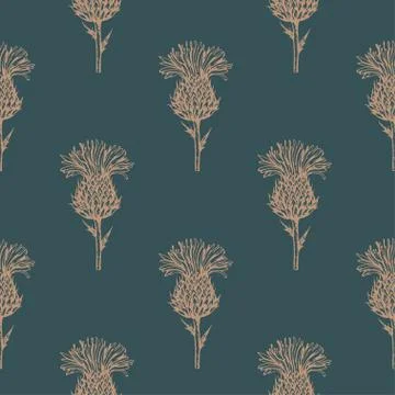Seamless pattern with thistle flowers. Black and white ink engraving Stock-Illustration