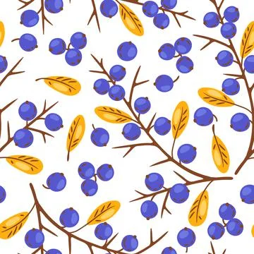 Seamless pattern of thorn with berries. Image of autumn plant. Illustrazione stock