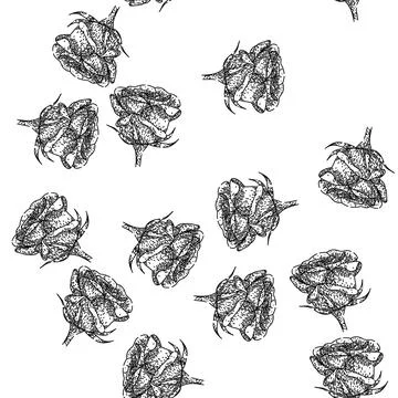 Seamless pattern thorns rose flower sketch hand drawn Stock Illustration