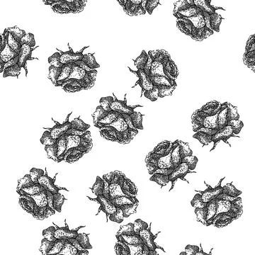 Seamless pattern thorns rose sketch hand drawn Stock Illustration