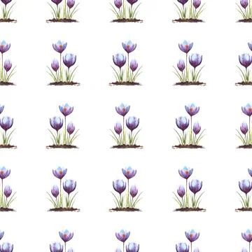 Seamless pattern of three Crocus flowers, hand painted watercolor illustration Stock Illustration