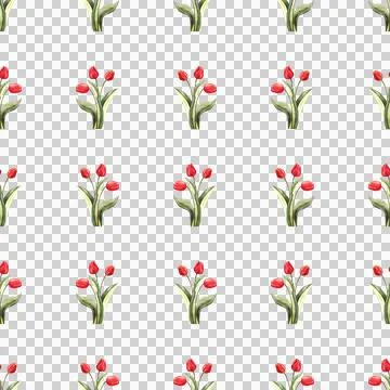 Seamless pattern of three red tulips buds with green leaves, watercolor Stock Illustration