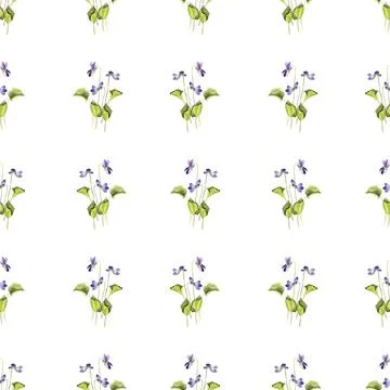 Seamless pattern of three wild violet flowers with green leaves, hand painted 스톡 일러스트