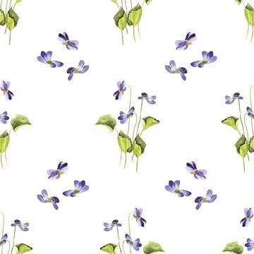 Seamless pattern of three wild violet flowers with green leaves, hand painted 스톡 일러스트