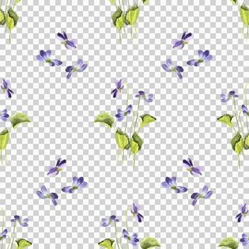 Seamless pattern of three wild violet flowers with green leaves, hand painted 스톡 일러스트