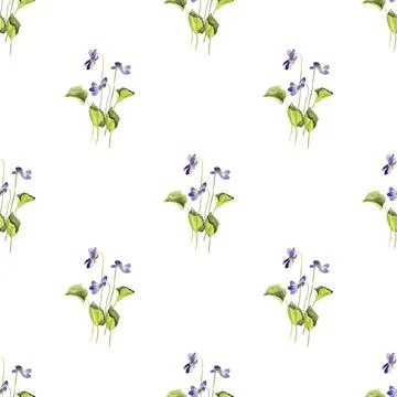 Seamless pattern of three wild violet flowers with green leaves, hand painted イラスト素材