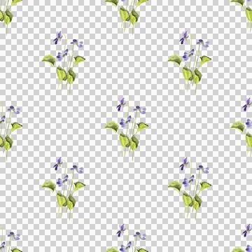 Seamless pattern of three wild violet flowers with green leaves, hand painted Stock Illustration