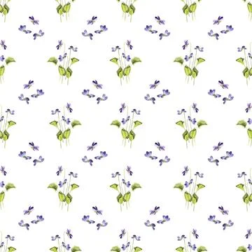 Seamless pattern of three wild violet flowers with green leaves, hand painted Stock-Illustration