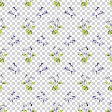 Seamless pattern of three wild violet flowers with green leaves, hand painted Stock Illustration