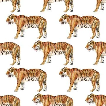 Seamless pattern with tiger Stock Illustration