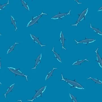 Seamless pattern Tiger shark blue background. Texture of marine fish for any  스톡 일러스트