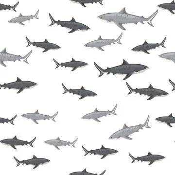 Seamless pattern Tiger shark isolated on white background. Gray texture of ma Stockillustratie