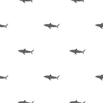 Seamless pattern Tiger shark isolated on white background. Gray textured of m Stockillustratie
