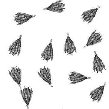 Seamless pattern tobacco cigarette leaf dry sketch hand drawn Stock Illustration