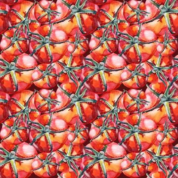 Seamless pattern with tomato on dark background. Watercolor red hand-drawn Stock Illustration