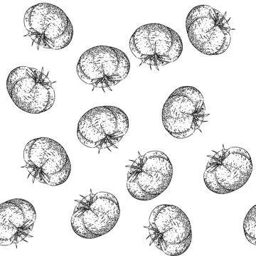 Seamless pattern tomato food sketch hand drawn Illustrazione stock