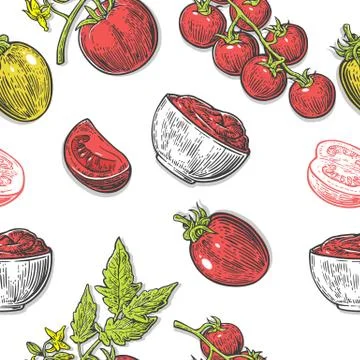 Seamless pattern with Tomato half, slice and branch. Stock Illustration