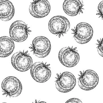 Seamless pattern tomato slice sketch hand drawn Stockillustratie