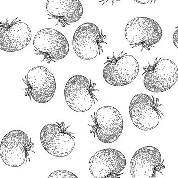Seamless pattern tomato vegetable sketch hand drawn Stock Illustration