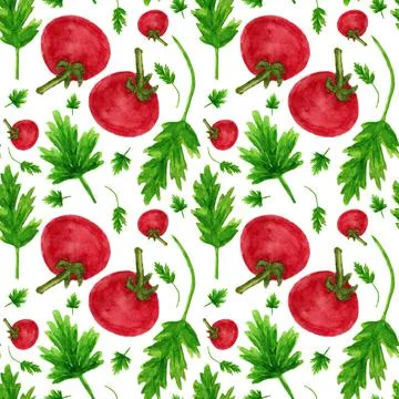 Seamless pattern with tomatoes and herbs on a white background. Stock Illustration