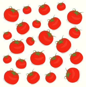 Seamless Pattern with Tomatoes on White Background. Stock Illustration