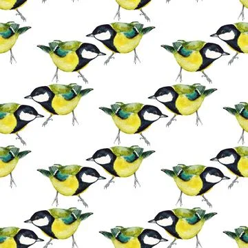 Seamless pattern with tomtits Stock Illustration