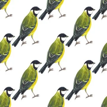 Seamless pattern with tomtits Stock Illustration