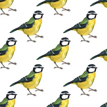 Seamless pattern with tomtits Stock Illustration