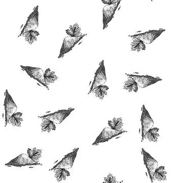 Seamless pattern top coriander sketch hand drawn Stock Illustration