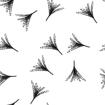Seamless pattern top rosemary sketch hand drawn イラスト素材