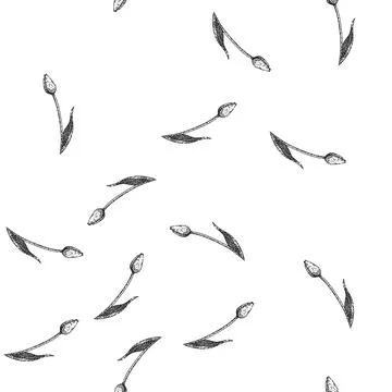 Seamless pattern top tulip sketch hand drawn 스톡 일러스트