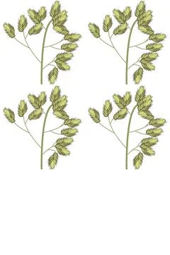 Seamless pattern from the top of wild field grass. Stock Illustration