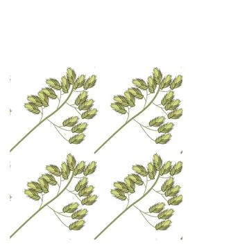 Seamless pattern from the top of wild field grass. イラスト素材