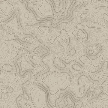Seamless pattern. Topographic map background with space for copy Seamless Illustrazione stock